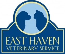 east haven veterinary